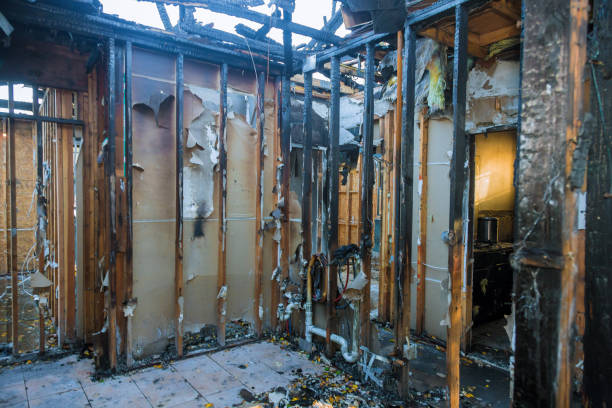 Professional Smoke Damage Removal technician working in North Brunswick, NJ